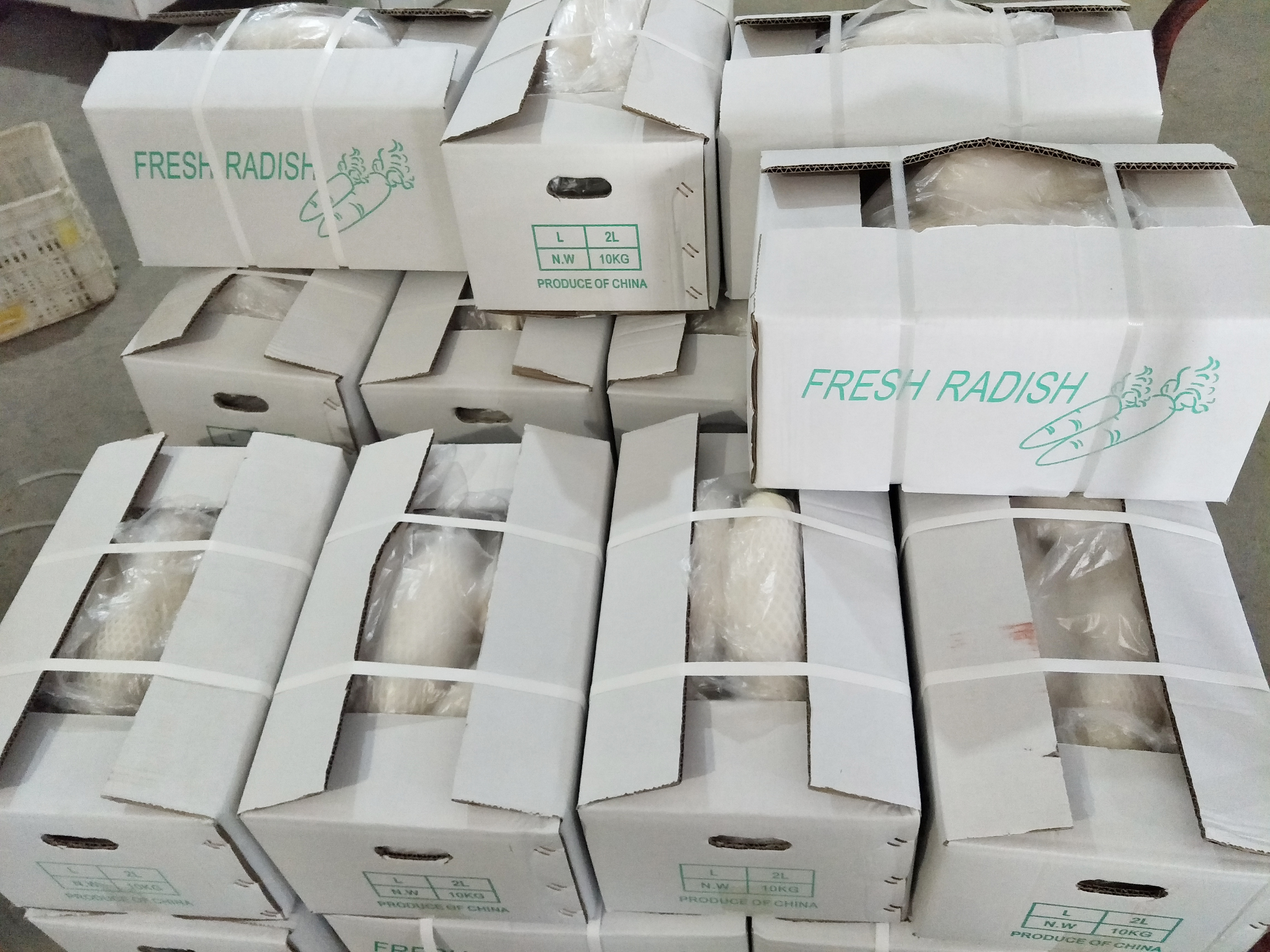 White radish is about to go on the market