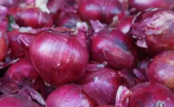 Onion